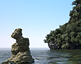 Natural Tools for 3ds max