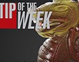 Tip of the Week. V-ray materials - SSS2 and translucency