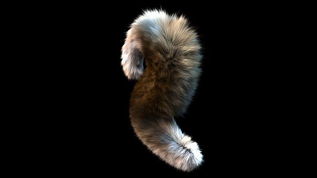 fiberfx_2.jpg fiberfx_2.jpg