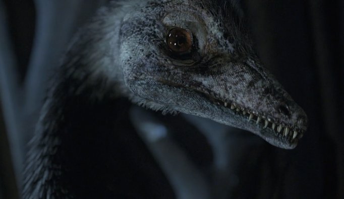 fido reel 2015